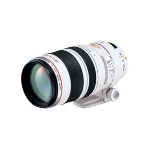 캐논 EF 100-400mm F4.5-5.6L IS USM / 2day