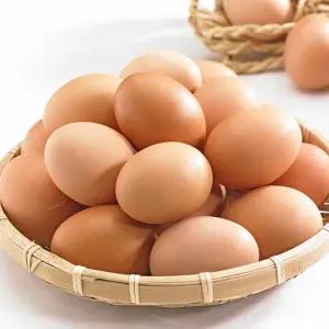 이맛난 생계란 대란 60구 HACCP 무살충제