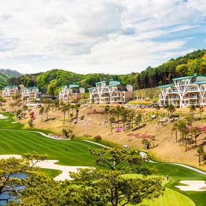 소노펠리체 빌리지 비발디파크 조식 워터파크 패키지 소노호텔앤리조트 오션월드 (강원 홍천) 룸온리