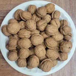 국내산 영동 박달산 토종 통호두 피호두1kg (충북영동산)