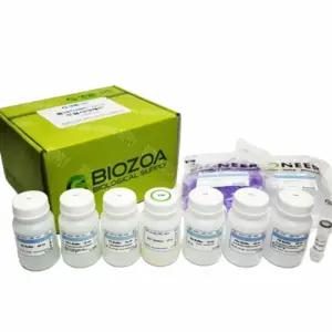 고순도 플라스미드 추출세트 사이언스키트 어린이과학