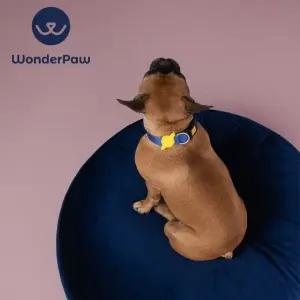 WonderPouf M사이즈 블루 애견 쿠션 방석 고양이 쿠션 (W251CE1)