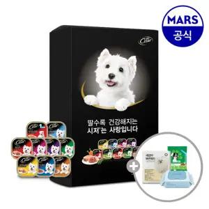 [11번가 단독팩] 시저 주식캔 26개 골라담기+아이엠즈+배변패드+베베숲물티슈