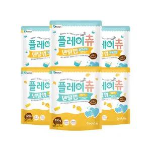 [듀먼]플레이츄 HACCP 덴탈껌 100g 2종 6팩 /애견껌 개껌