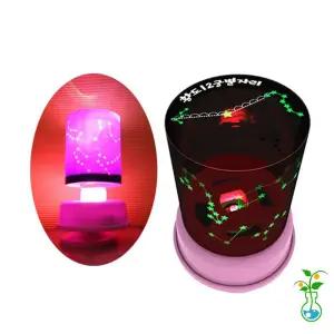 과학실험키트-NEW 오르골 회전별자리 LED수면등 만들기