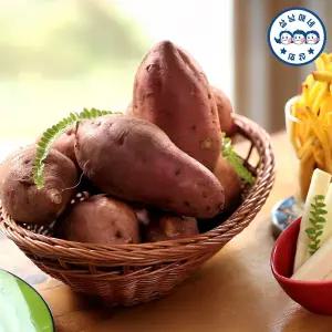 [삼남매네]해남 25년 호박고구마 한입 2KG