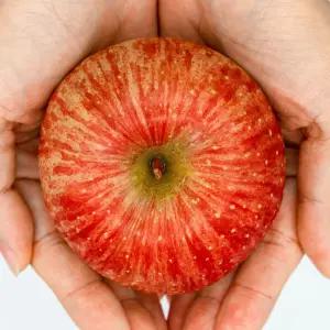 싱싱햇 국산 홍옥사과 백설공주 홍옥 사과 가정용 5kg