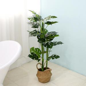인테리어 인조나무 조화나무 화분 인조목 그린라인 몬스테라 110cm