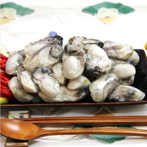 [무 배][일구수산]2025년산 통영 냉동굴 IQF 2, 3kg/ 직접 생산