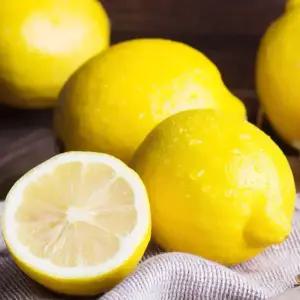 [농협6번]썬키스트/팬시레몬 10kg 대과 중과 소과 선택가능