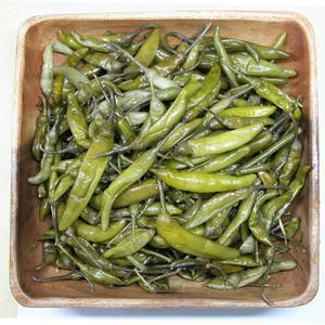 염장 절임 풋고추지 4Kg내외 이강산닷컴