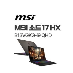 MSI 소드 17 HX B13VGKG-i9 QHD (RAM 32GB / SSD 1TB 교체) / ywdt