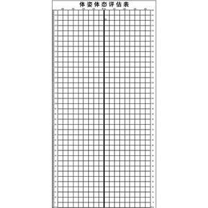 스크린 측정 격자 테스 체형 바디 블루 헬스장 분석표