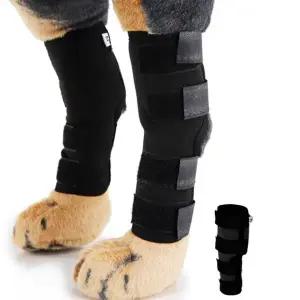 [콩심팥심]강아지관절보호대 S 레드 슬개골탈구보호대 소형견