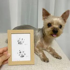 [콩심팥심]강아지 발도장 액자 반려견 발자국 셀프 스탬프 강아지발도장액자