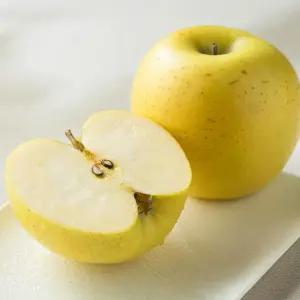 황금사과 국내산 시나노골드 가정용 4kg / 중대과 16-19과