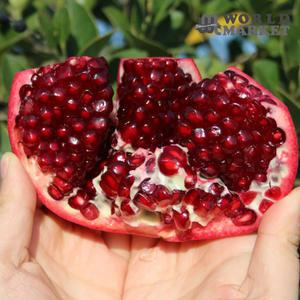 [신규입고] 팬시 생석류 대과 2/3/5kg