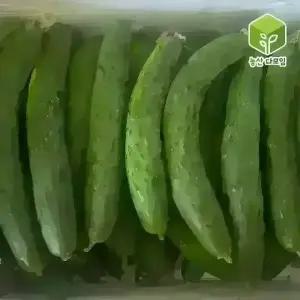 오이 취청오이 상 10kg