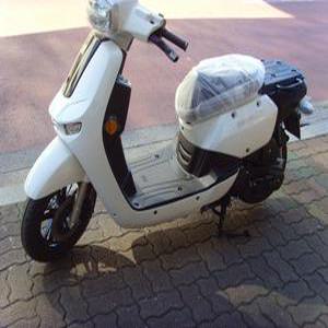 [당일배달]kr모터스 신차 델리로드100A / vf100 scr