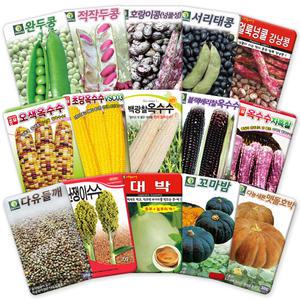 각종 박과류 씨앗 모음 콩 완두콩 옥수수 깨 호박 곡물 채소 씨 종자