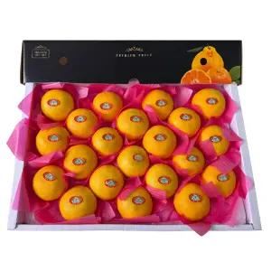 제주 제철 황금향 당도보장 특대과 기본선물포장 3kg, 5kg