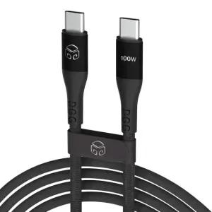 디지지 제로백 100W PD C to C타입 초고속 충전 케이블 0.5m, 1개