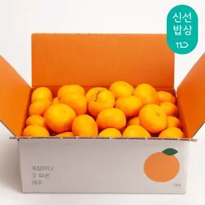 [깨비농원] 제주 조생감귤 4.5kg 중대과