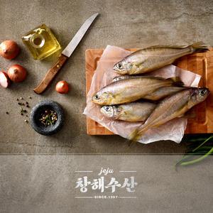 제주어가 특대왕 참조기 10마리