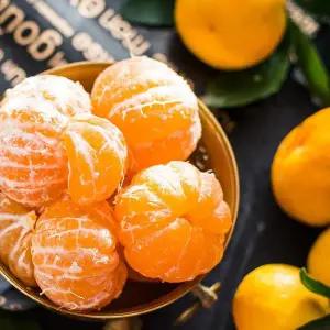 제주 고당도 노지감귤 산지직송 제주귤 5kg 대과 2L