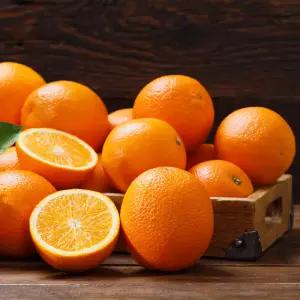 호주 고당도 오렌지 중과 88개입 17kg 내외 (개당 190g 내외)