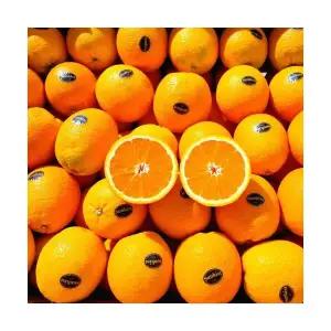 네이블 오렌지 20입 (56)대과