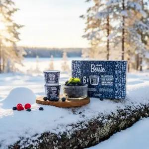 로버츠베리에 빌베리 100ml 6개 과일음료 블루베리맛 건강음료