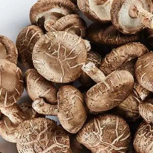 [감동]국내산 생표고버섯 못난이 1kg