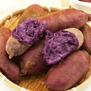 [착한식탁]해남 자색고구마 3kg 중급