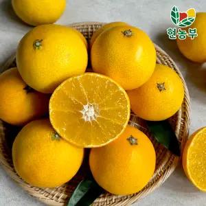 제주 가정용 흠과 황금향 5kg