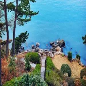 [충남 펜션] 태안 숲속의바다펜션 (태안,안면도)