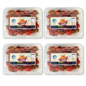 스테비아 대추방울 토망고 500gX4팩