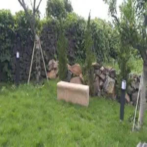 [제주] 제주 바모스 애견 펜션(제주펜션)