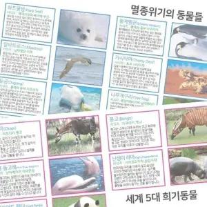 [셀러허브]멸종 위기 희귀동물에 대한 조사 12세트 K00037 (S31268591)