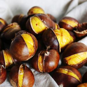 단밤스토리 2025년 A급 약단밤 2kg /품질엄선