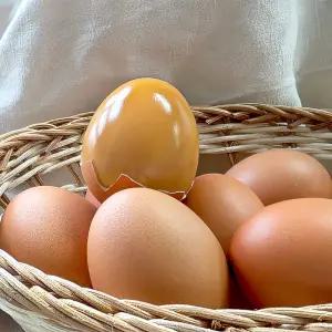 황금빛 구운 유정란 40구 훈제란 구운란 무항생제