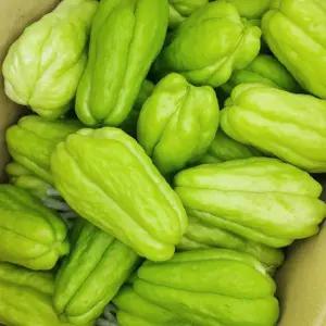 국내산 아삭한 햇 함양 차요테 차요태 3kg