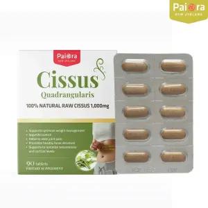 뉴질랜드 파이오라 시서스 1000mg 90정(3개월분) 체지방감소 체지방분해 다이어트 보조제