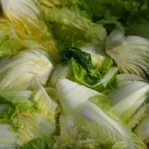 신안 천일염 사용 해남 절임배추 10kg