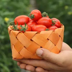 [미리내 농수산] 대추 방울토마토 로얄과 2kg (산지 당일수확)