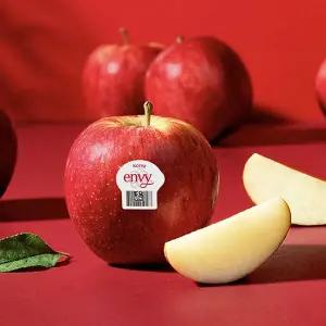 [감동]엔비사과 소과 5kg 24-30과 팬시(가정용)