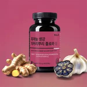 흑마늘 흑 마늘 생강 농축분말 플로라 치커리뿌리