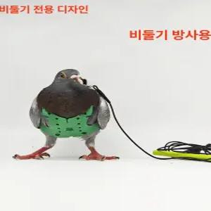 앵무새 비둘기 하네스 애완 코카티엘 끈을 가죽