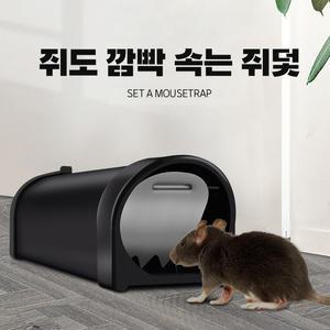 쥐도 깜빡 속는 쥐덫 끈끈이 쥐약 쥐？C 쥐덧 퇴치기