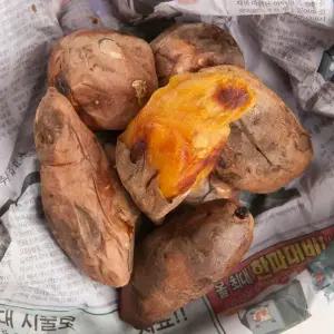 해남 꿀고구마 3kg 못난이